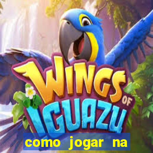 como jogar na teimosinha da lotofacil
