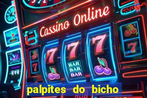 palpites do bicho no celular