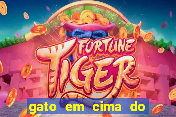 gato em cima do telhado significado espiritual