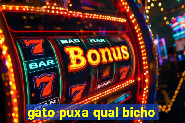 gato puxa qual bicho