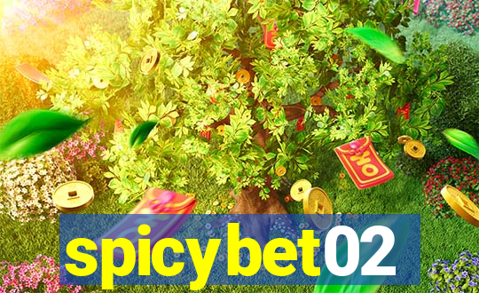 spicybet02