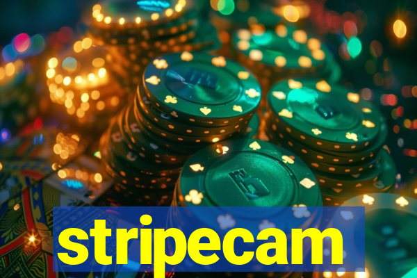 stripecam