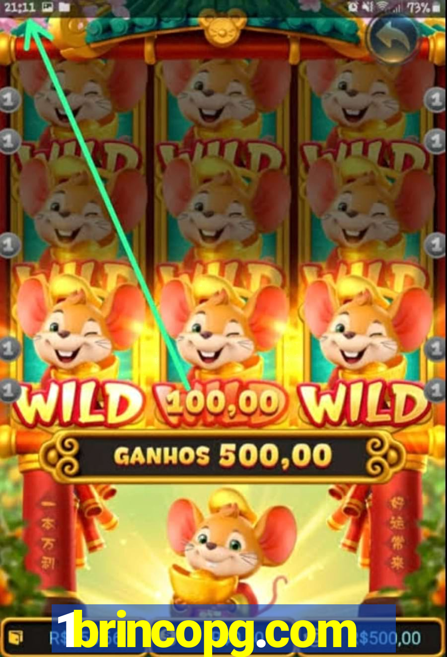 1brincopg.com