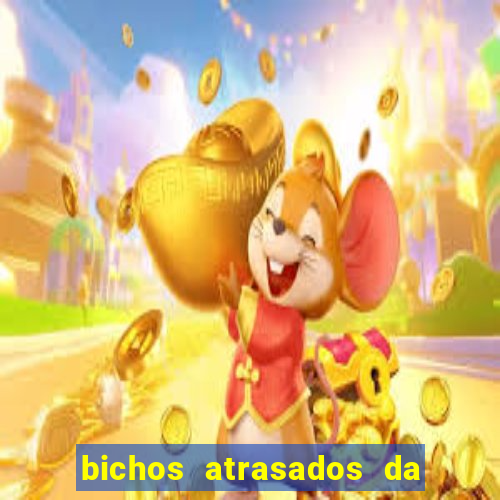 bichos atrasados da loteria federal