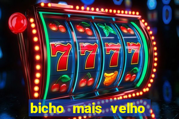 bicho mais velho da loteria dos sonhos