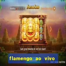 flamengo ao vivo hd play