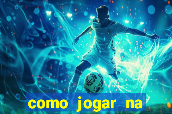 como jogar na lotinha do jogo do bicho