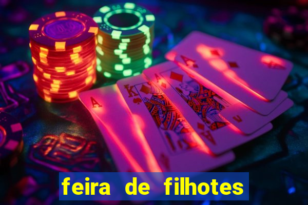 feira de filhotes porto alegre