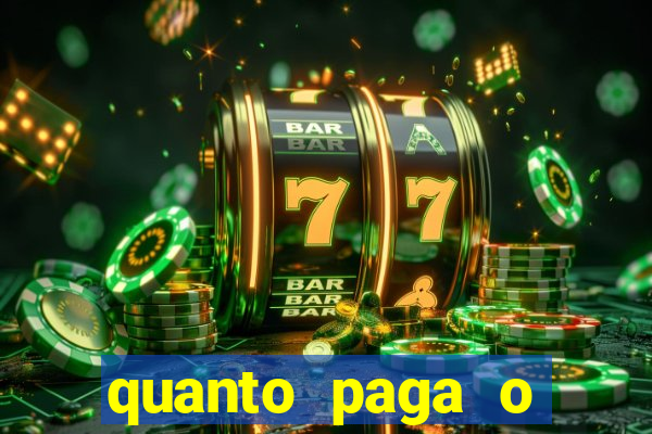 quanto paga o jungle fight