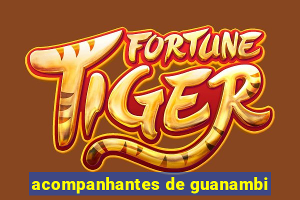 acompanhantes de guanambi