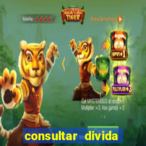 consultar divida casas bahia