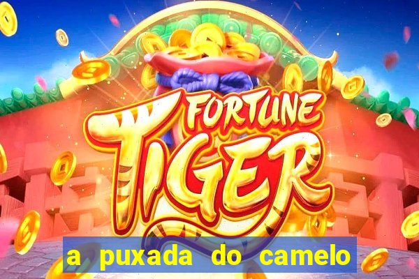 a puxada do camelo no jogo do bicho