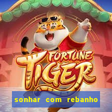 sonhar com rebanho de gado jogo do bicho