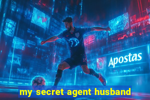 my secret agent husband