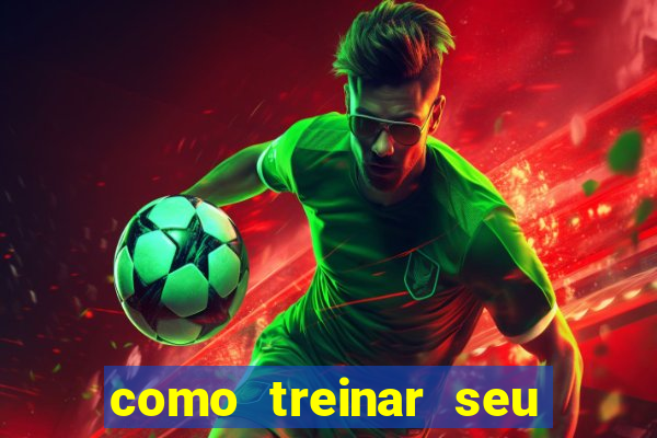como treinar seu dragão especial de natal assistir