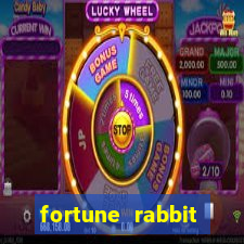 fortune rabbit plataforma nova