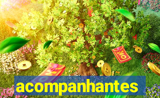 acompanhantes masculino salvador