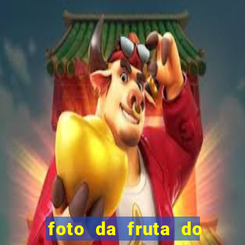 foto da fruta do blox fruits