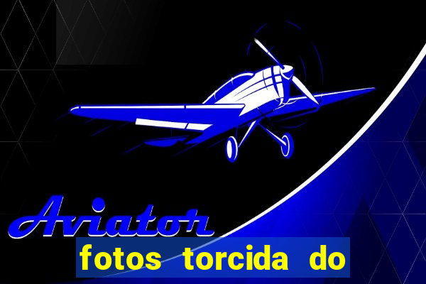 fotos torcida do cruzeiro chorando