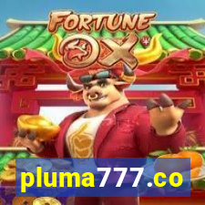 pluma777.co