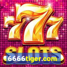 6666tiger.com