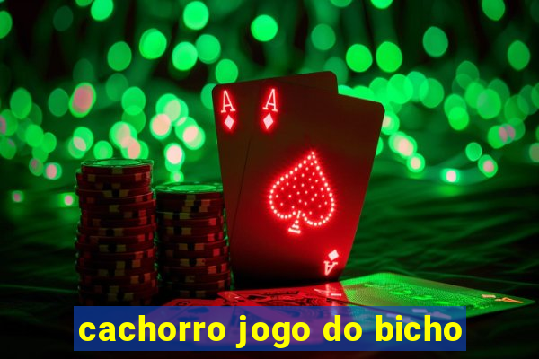 cachorro jogo do bicho
