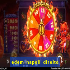 edem napoli direito constitucional pdf