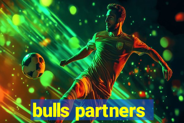 bulls partners