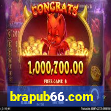 brapub66.com