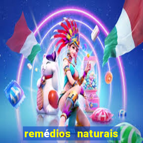 remédios naturais para diabetes