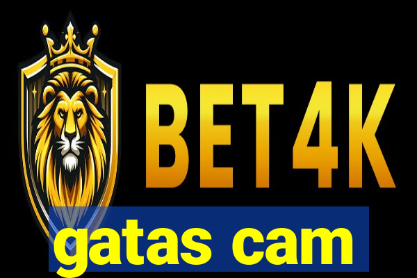 gatas cam