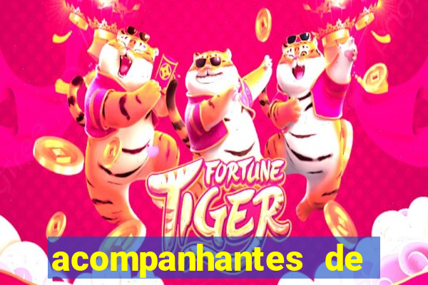 acompanhantes de luxo de porto alegre