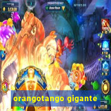 orangotango gigante