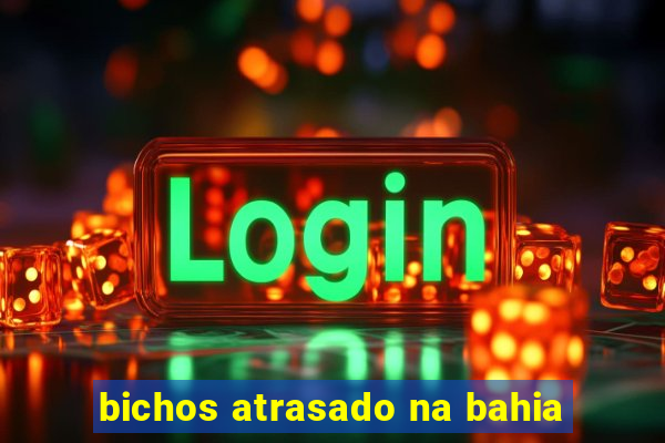 bichos atrasado na bahia