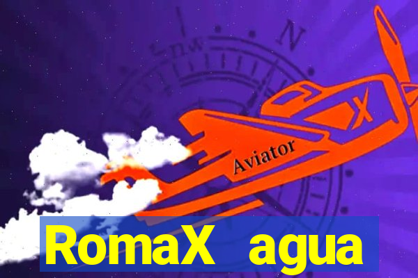 RomaX agua sanitaria fispq agua sanitaria romax