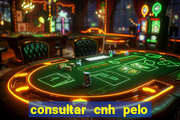 consultar cnh pelo cpf sp