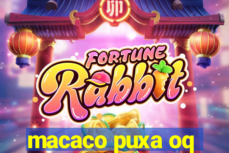 macaco puxa oq