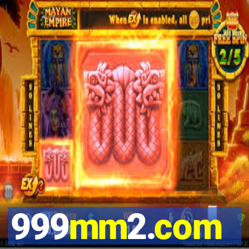 999mm2.com