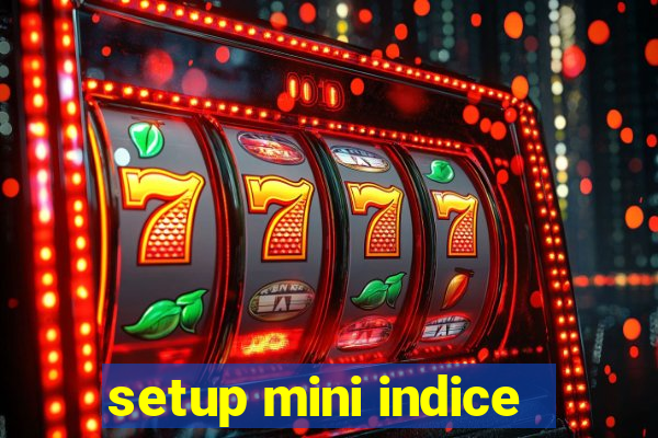 setup mini indice