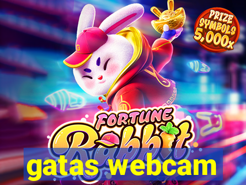 gatas webcam