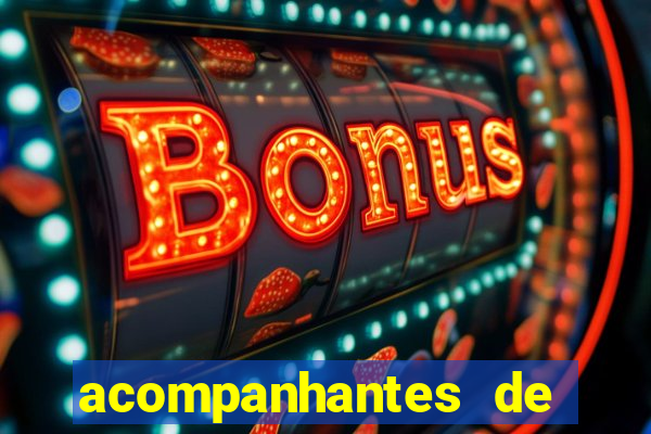 acompanhantes de feira de santana