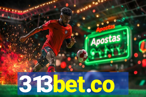 313bet.co