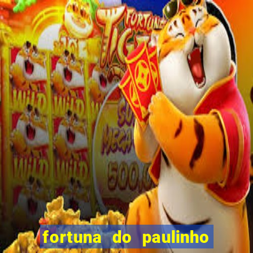 fortuna do paulinho do roupa nova