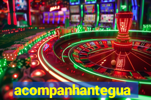 acompanhanteguanambi