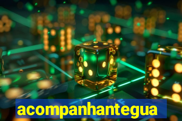 acompanhanteguanambi