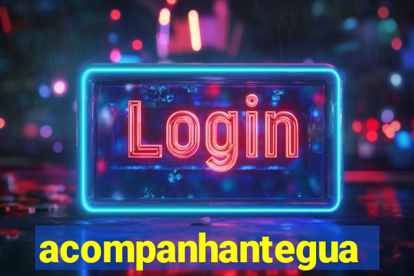 acompanhanteguanambi