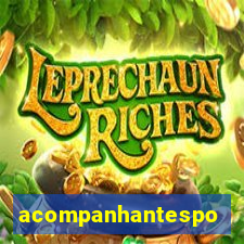 acompanhantesportovelho