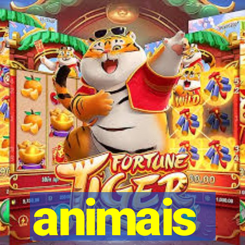 animais-pg.com