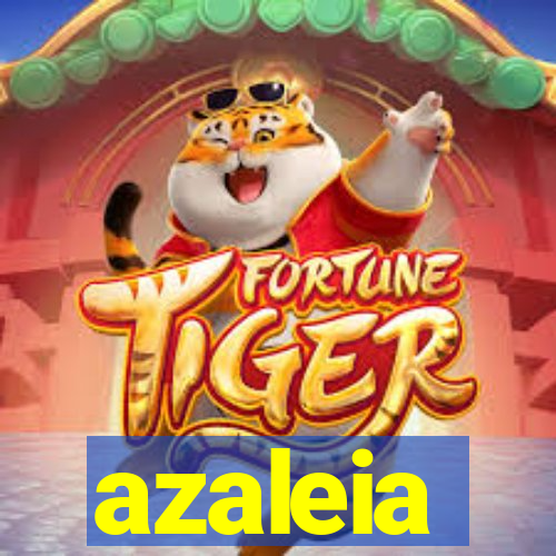 azaleia-br.com