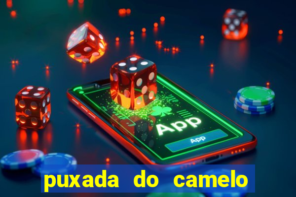 puxada do camelo no jogo do bicho